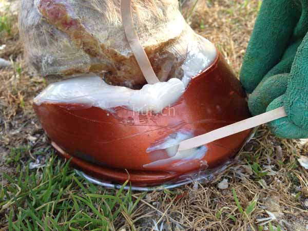 abzess-fistel-bearbeitung