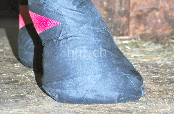 Hufverband