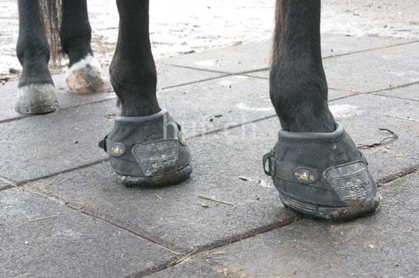 Old Mac Hufschuhe 