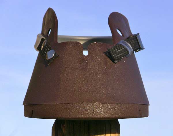 Swiss Horse Boots Swiss Horse Boots