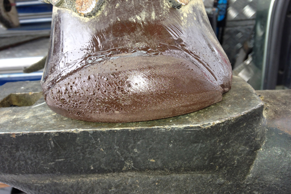 Swiss Horse Boots reparieren Swiss Horse Boots reparieren