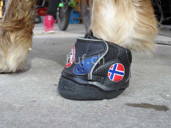 Jogging Shoe Ultimate - Hufschuhe